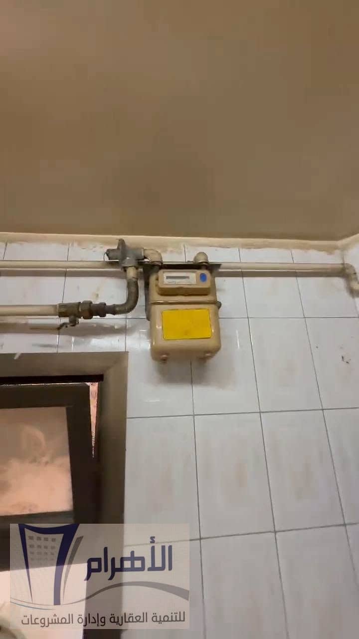 6 792459313_1466446182199523_2635846363175750093_n. jpeg