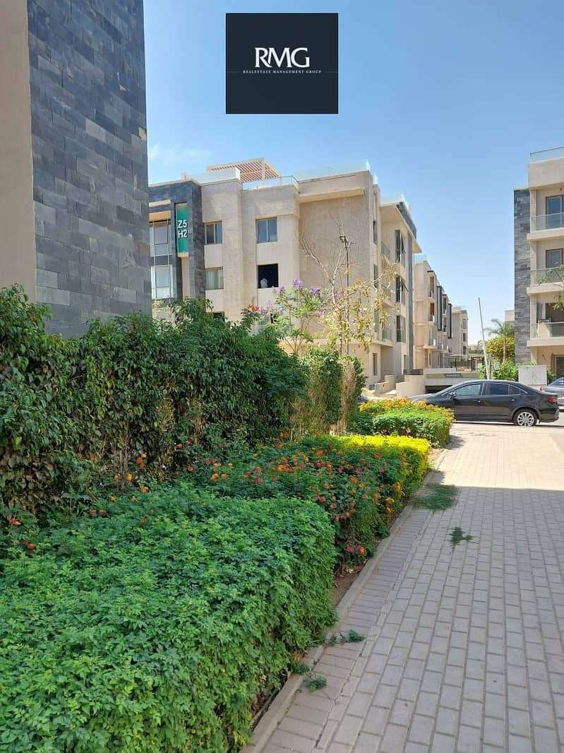 6 127181. jpg