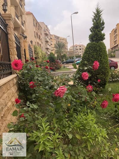 فلیٹ 3 غرف نوم للبيع في القاهرة الجديدة، القاهرة - WhatsApp Image 2026-08-30 at 6.33. 11 AM. jpeg فلیٹ 3 غرف نوم للبيع في القاهرة الجديدة، القاهرة - WhatsApp Image 2026-08-30 at 6.33. 11 AM. jpeg