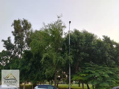1 Bedroom Room for Rent in New Cairo, Cairo - 3895e6e0-f8fb-41f2-b32a-ed8cadd1c761. jpg