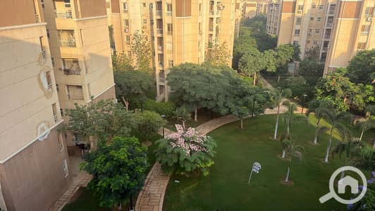 2 Bedroom Flat for Sale in Madinaty, Cairo - 1000154112. jpg 2 Bedroom Flat for Sale in Madinaty, Cairo - 1000154112. jpg