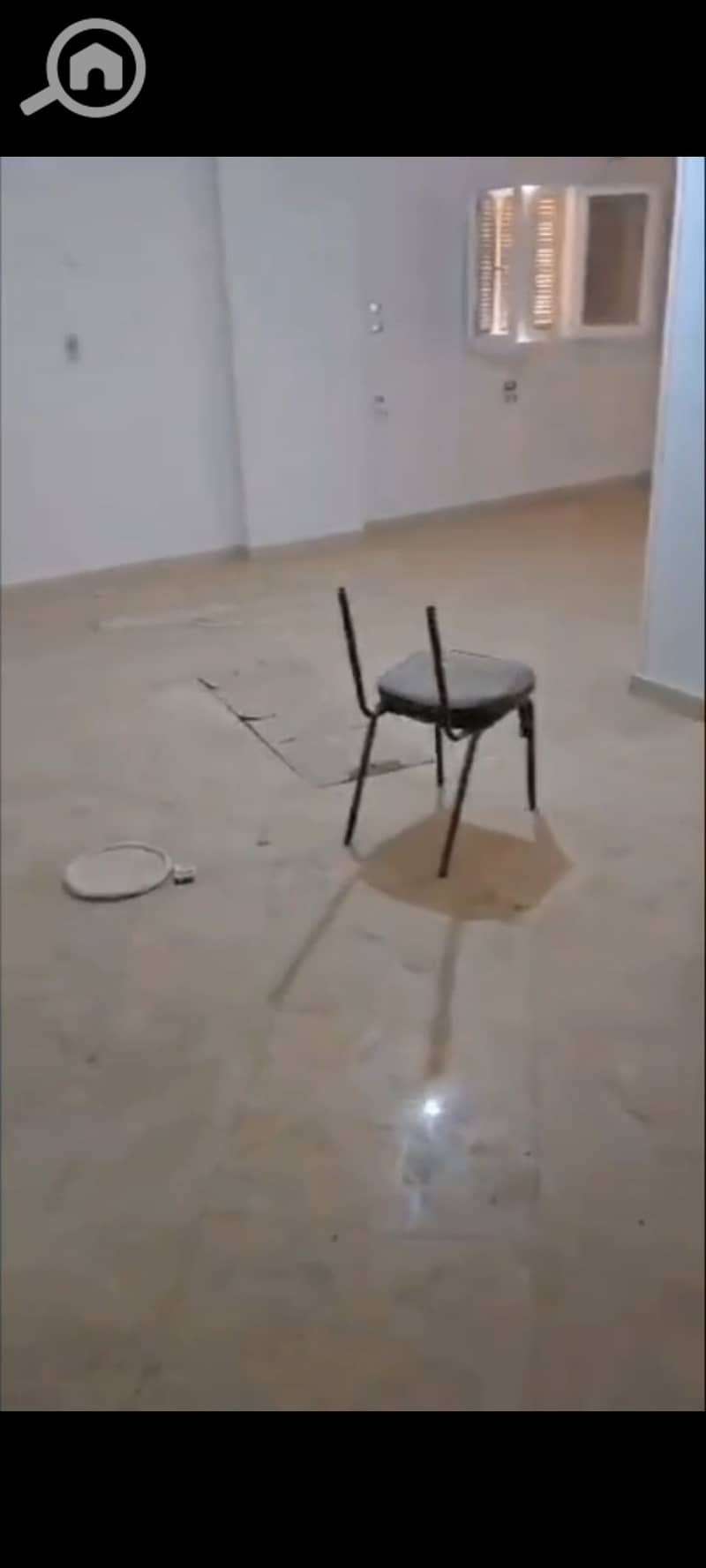 2 1001165840. jpg
