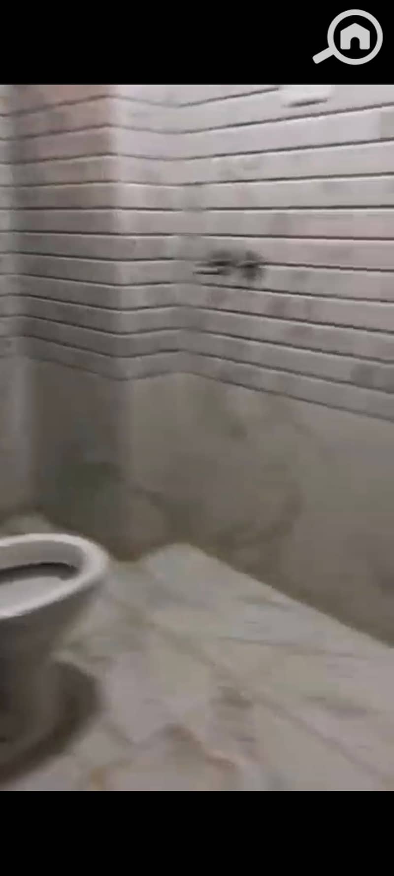 2 1000426790. jpg