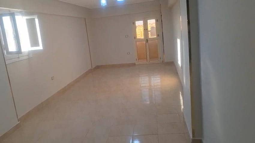 شقه للبيع في الإسكندرية - العجمي - الكيلو 21 - 150م من المالك شقه للبيع في الإسكندرية - العجمي - الكيلو 21 - 150م من المالك