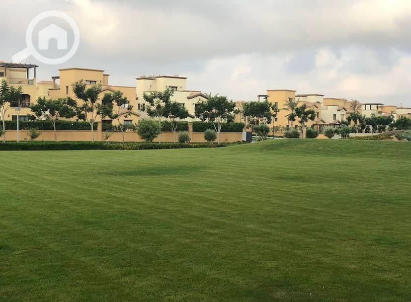 15 1000151132. jpg