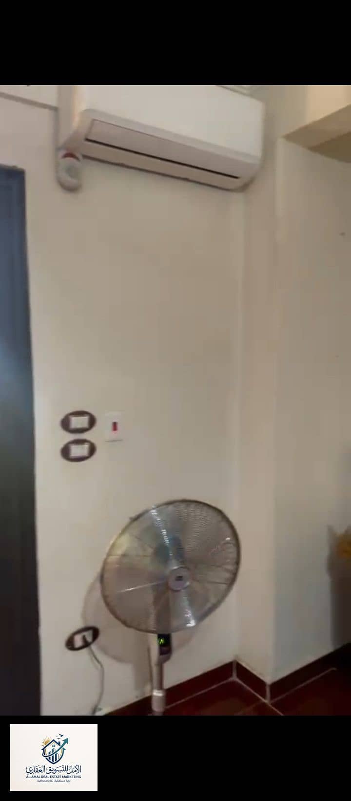 11 1000270934. jpg