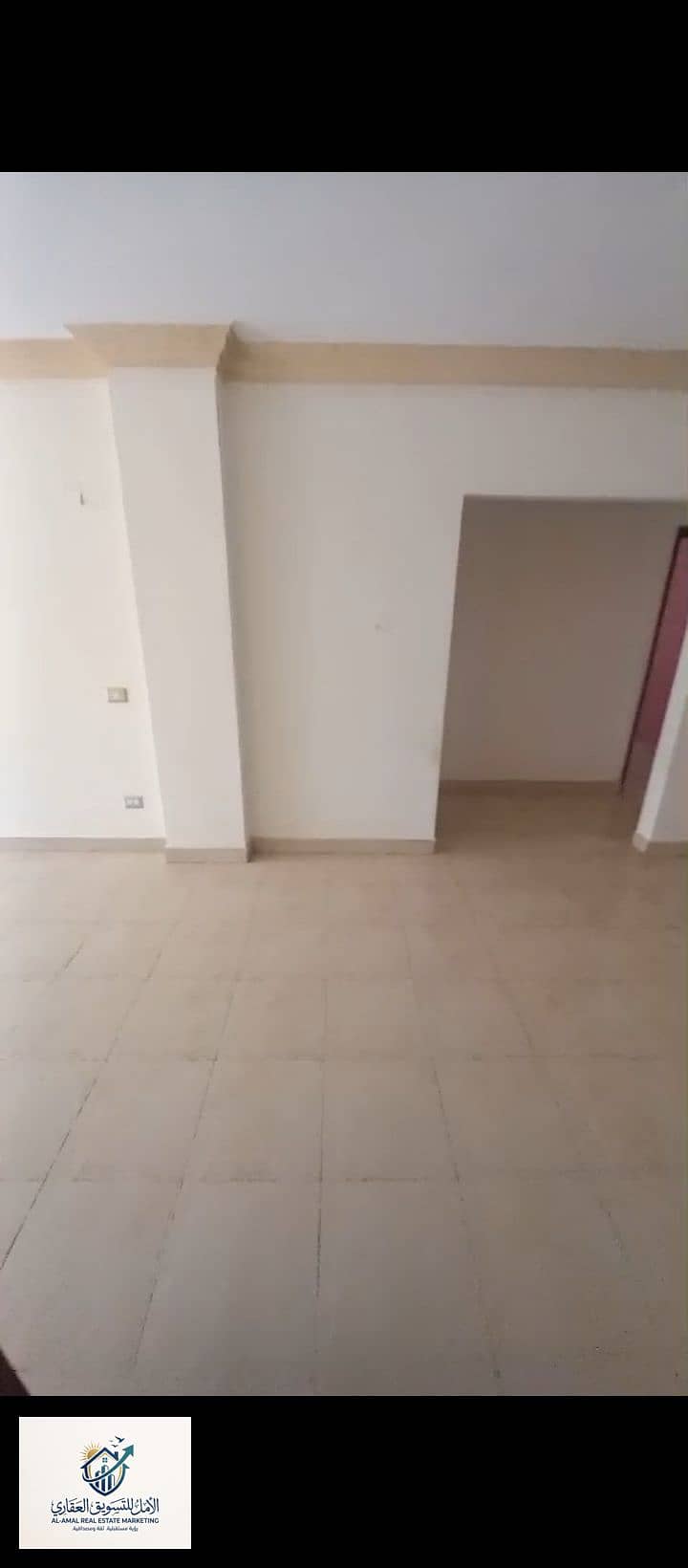 3 1000270995. jpg
