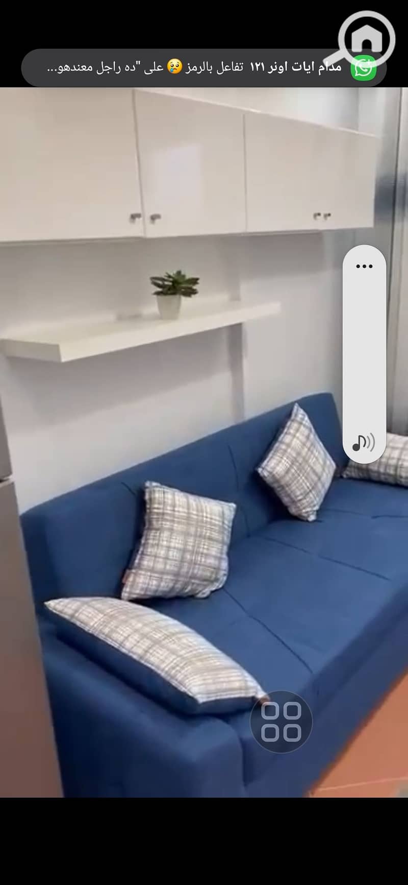 3 1000682239. jpg