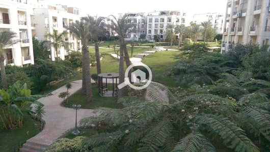 3 Bedroom Apartment for Sale in Sheikh Zayed, Giza - WhatsApp Image 2026-09-05 at 8.05. 42 PM (2). jpeg 3 Bedroom Apartment for Sale in Sheikh Zayed, Giza - WhatsApp Image 2026-09-05 at 8.05. 42 PM (2). jpeg