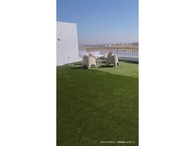 بنتهاوس 4 غرف نوم للبيع في القاهرة الجديدة، القاهرة - df67083a-ba63-424f-9f44-3efd2159c5a3. jpg بنتهاوس 4 غرف نوم للبيع في القاهرة الجديدة، القاهرة - df67083a-ba63-424f-9f44-3efd2159c5a3. jpg