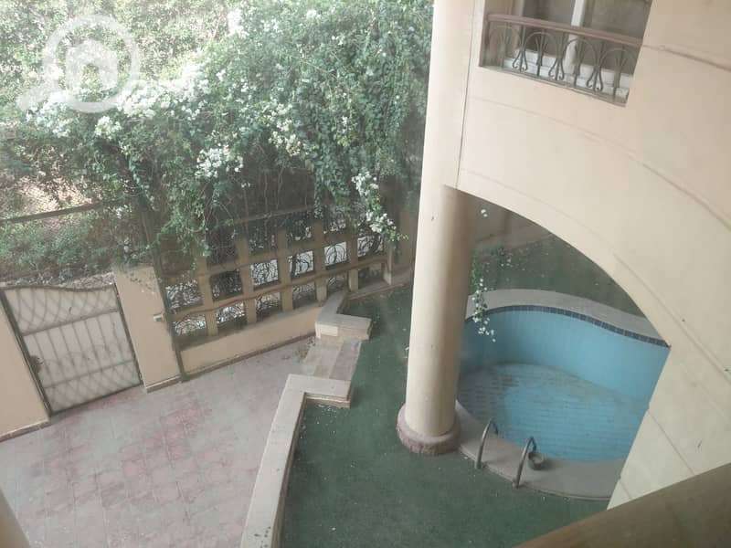 20 1000732602. jpg