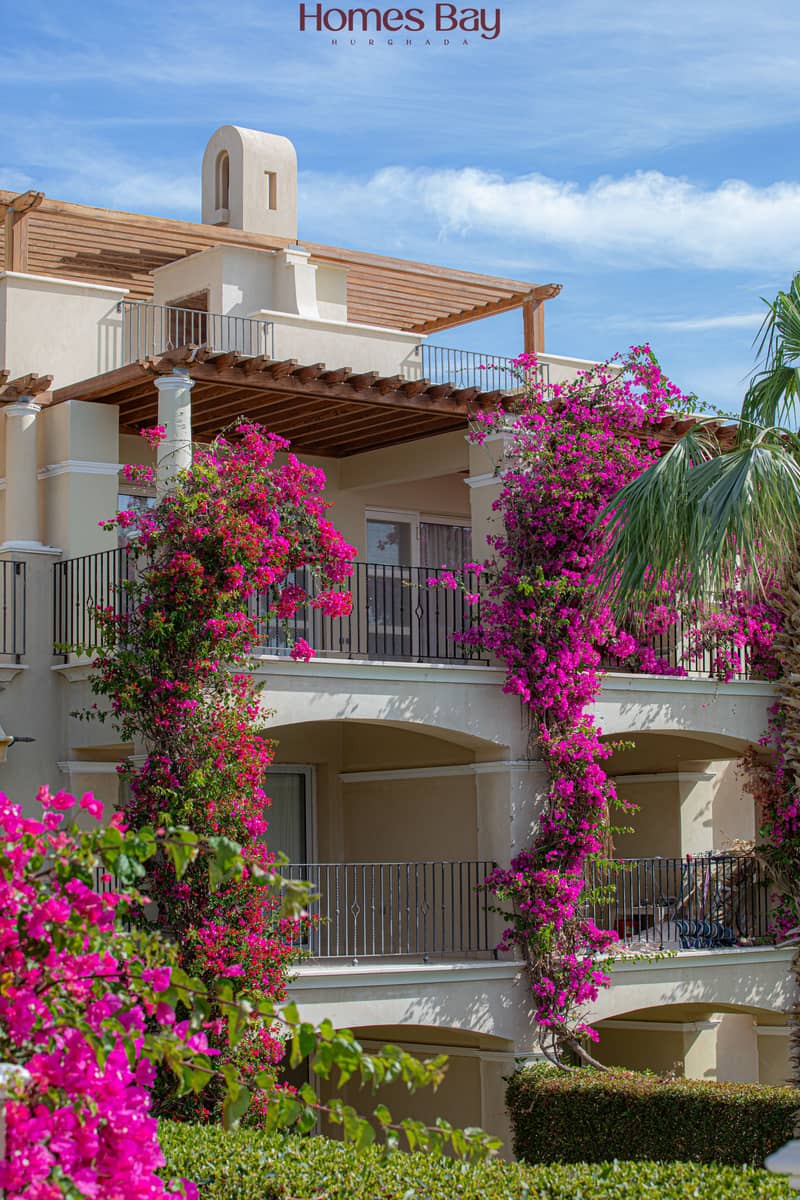13 @AAA-5187. jpg