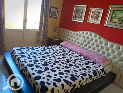 1 Bedroom Room for Rent in New Cairo, Cairo - 1001136404. jpg