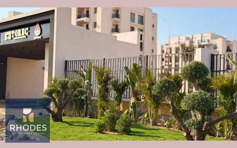 3 Bedroom Apartment for Sale in Sheikh Zayed, Giza - WhatsApp Image 2026-08-09 at 1.02. 00 PM (3). jpg 3 Bedroom Apartment for Sale in Sheikh Zayed, Giza - WhatsApp Image 2026-08-09 at 1.02. 00 PM (3). jpg