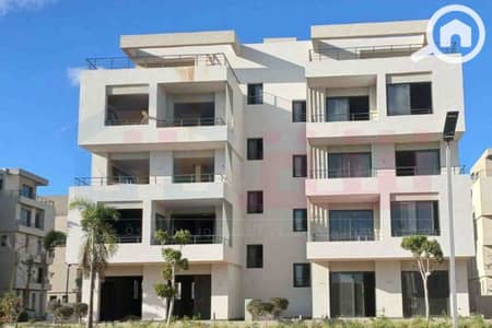 5 Bedroom Villa for Sale in Palm Hills, Alexandria - WhatsApp Image 2026-09-02 at 12.46. 09 (1). jpg