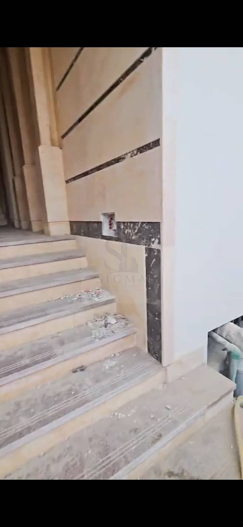 5 1000494781. jpg