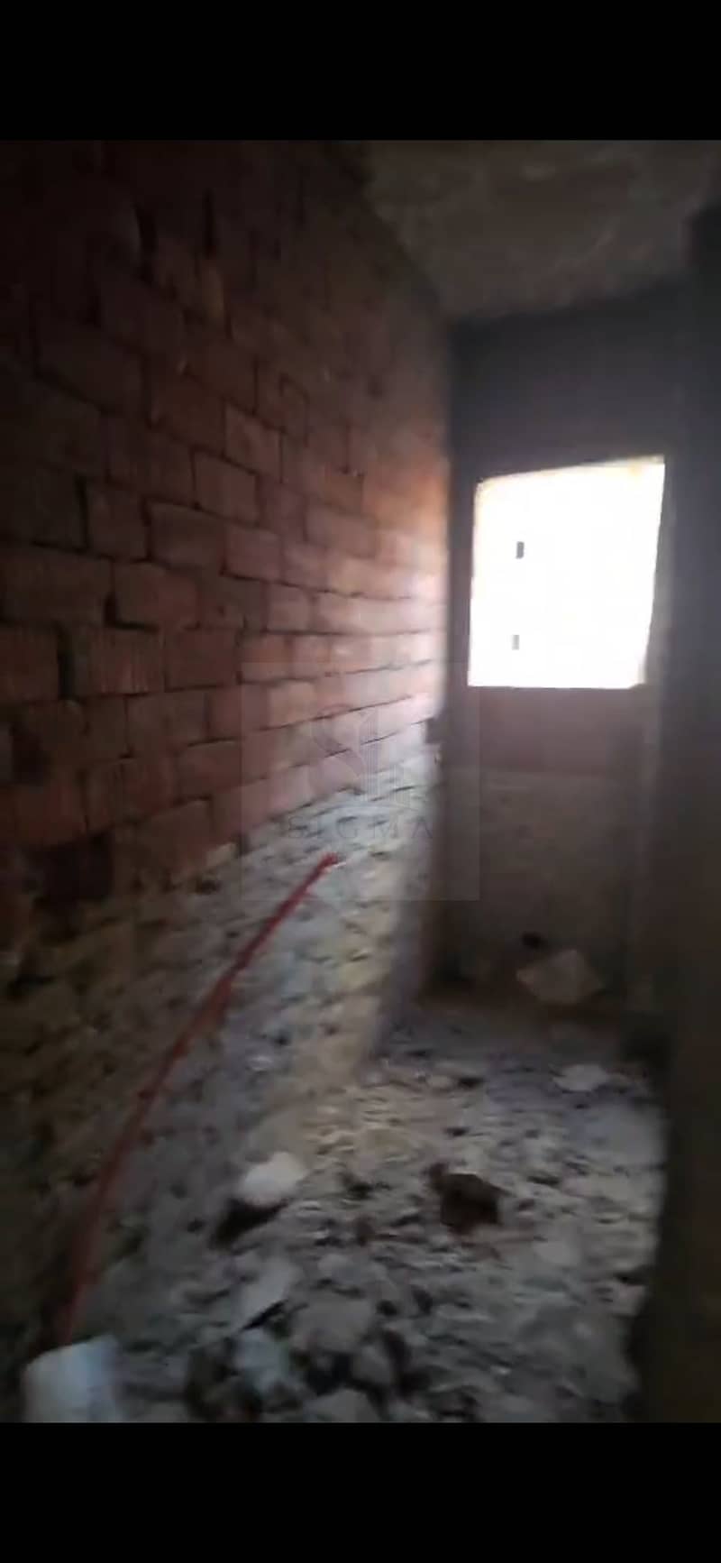 10 1000494787. jpg