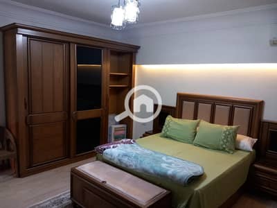 2 Bedroom Flat for Rent in Dokki, Giza - 531048. jpg 2 Bedroom Flat for Rent in Dokki, Giza - 531048. jpg