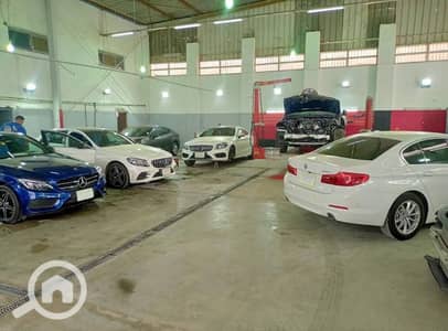 Factory for Rent in New Cairo, Cairo - WhatsApp Image 2026-09-05 at 2.25. 42 PM. jpeg Factory for Rent in New Cairo, Cairo - WhatsApp Image 2026-09-05 at 2.25. 42 PM. jpeg
