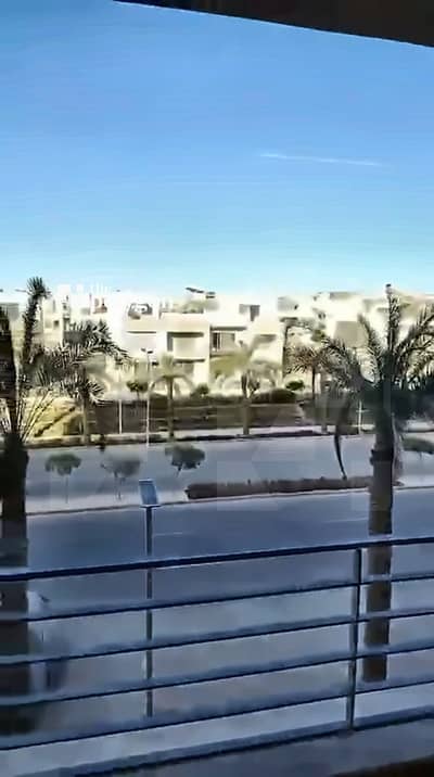 2 Bedroom Apartment for Rent in New Cairo, Cairo - Property_Ad_15. jpg 2 Bedroom Apartment for Rent in New Cairo, Cairo - Property_Ad_15. jpg