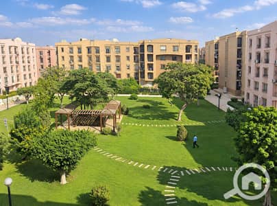 2 Bedroom Flat for Sale in New Cairo, Cairo - file_000000004dd08243ac08979f4af0202b. png 2 Bedroom Flat for Sale in New Cairo, Cairo - file_000000004dd08243ac08979f4af0202b. png