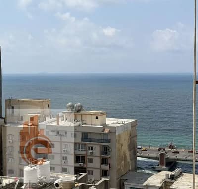 3 Bedroom Apartment for Rent in Stanley, Alexandria - زممخ. png