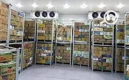 Factory for Rent in 10th of Ramadan, Sharqia - images. jpg