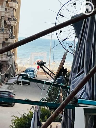 شقة 3 غرف نوم للبيع في النخيل، الإسكندرية - IMG_5200. jpg شقة 3 غرف نوم للبيع في النخيل، الإسكندرية - IMG_5200. jpg