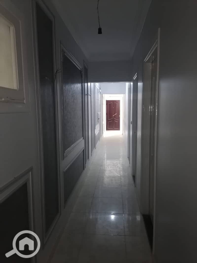 4 338628. jpg