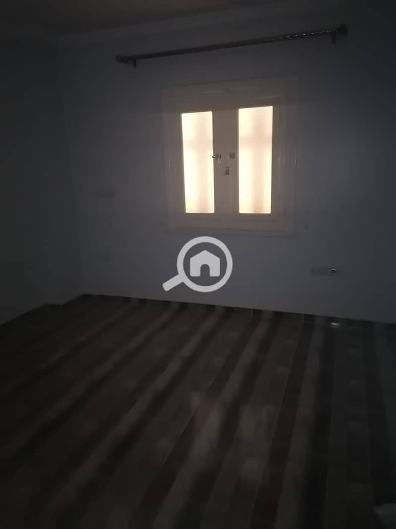 5 338637. jpg