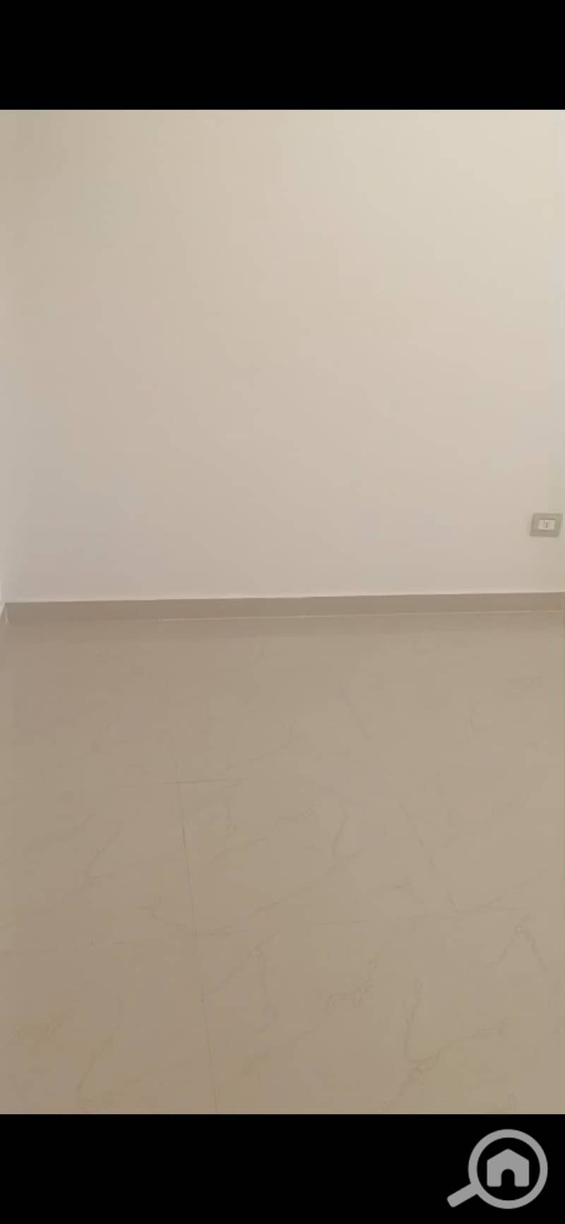 5 131639. jpg