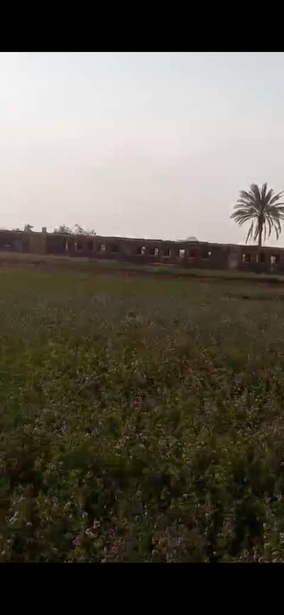 Agricultural Land for Sale in Abu Swear, Ismailia - أرض زراعيه للبيع فى ابو صوير فى ابو خروع