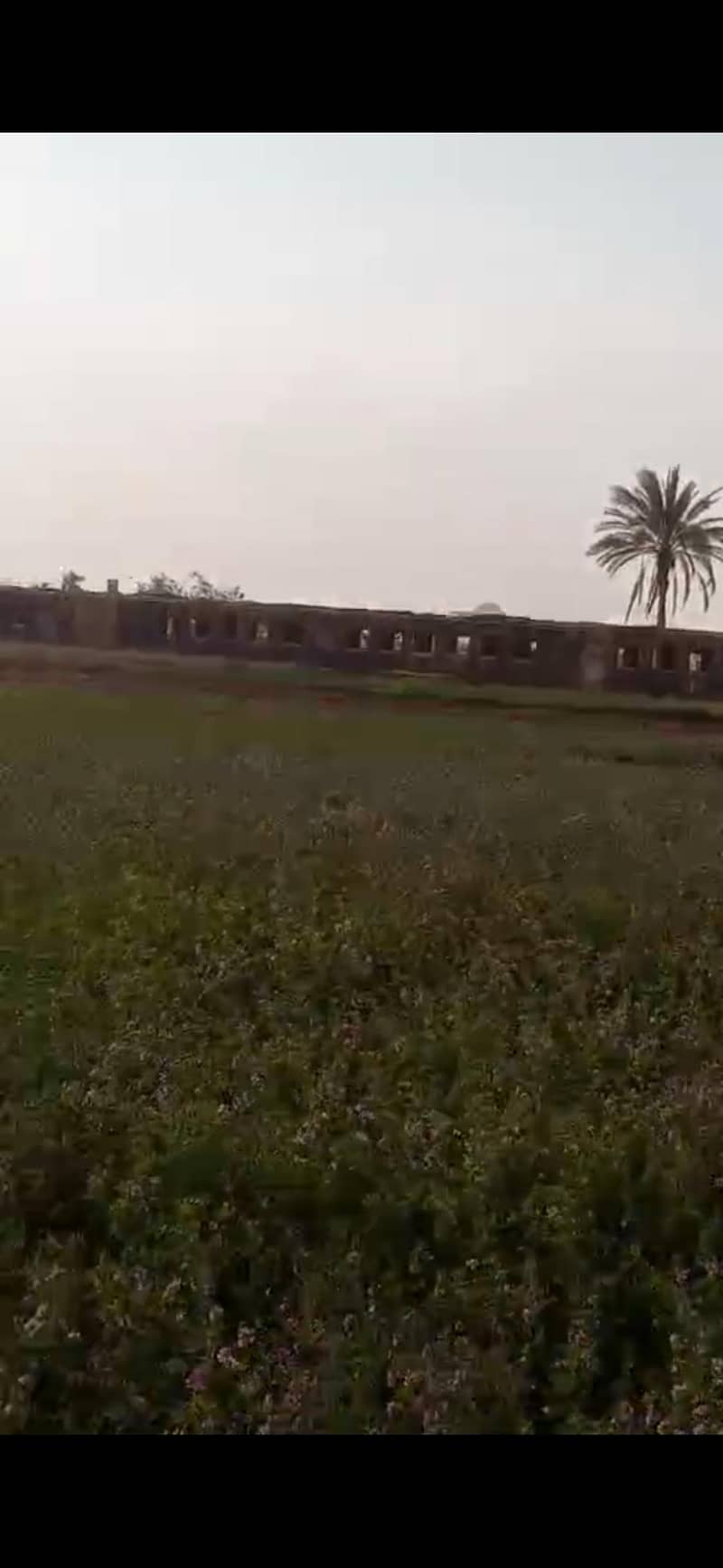 أرض زراعيه للبيع فى ابو صوير فى ابو خروع أرض زراعيه للبيع فى ابو صوير فى ابو خروع