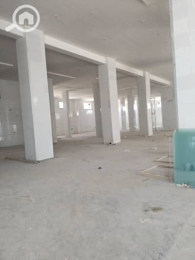 مصنع  للايجار في القاهرة الجديدة، القاهرة - 1000309765. jpg