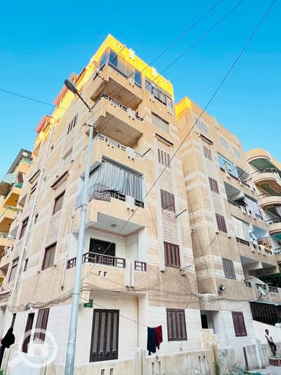 2 Bedroom Apartment for Sale in Nakheel, Alexandria - 1001078054. jpg
