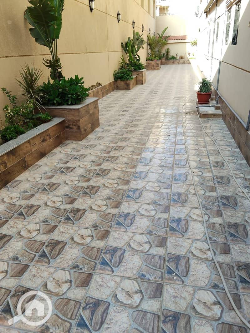 20 1000545618. jpg