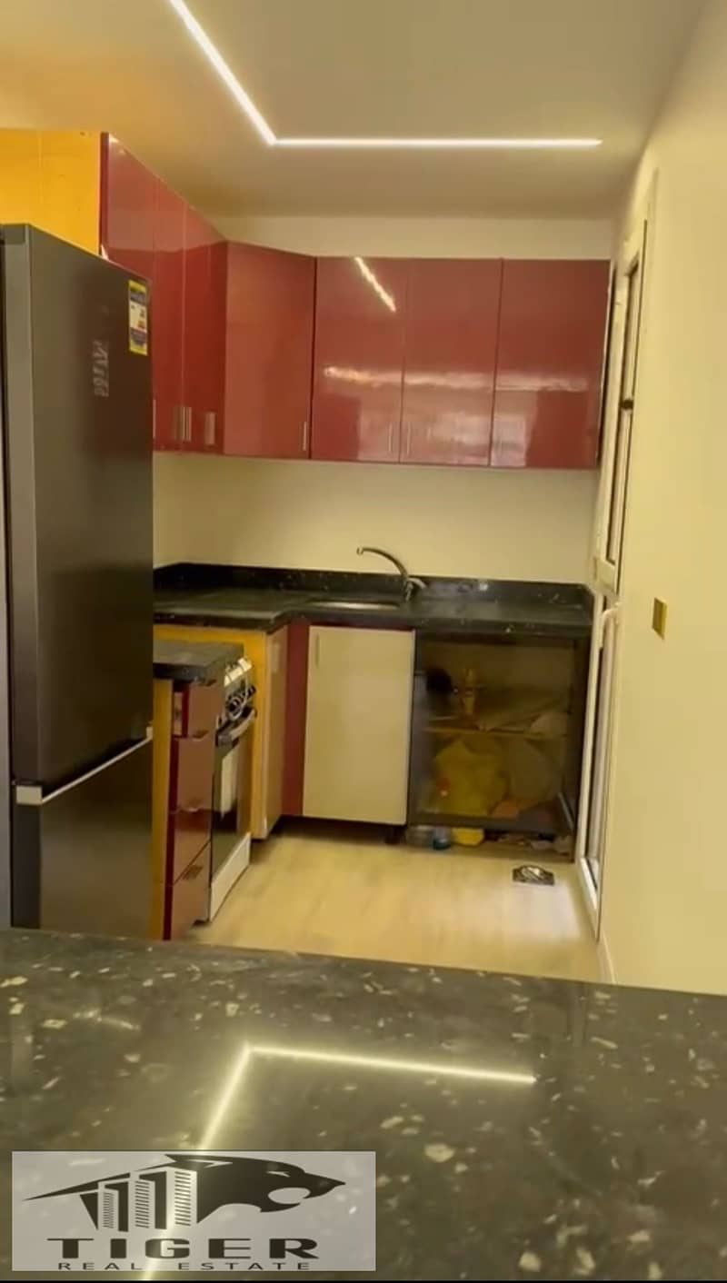 7 133145. jpg