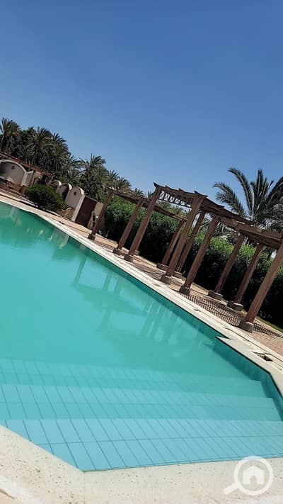 4 Bedroom Villa for Rent in 6th of October, Giza - 409103. jpg