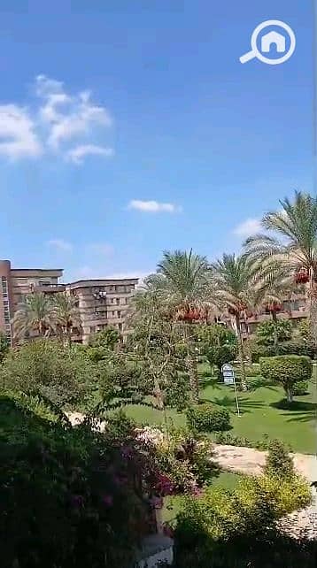 3 Bedroom Flat for Sale in New Cairo, Cairo - vf_VID-20260906-WA0012_100000. jpeg 3 Bedroom Flat for Sale in New Cairo, Cairo - vf_VID-20260906-WA0012_100000. jpeg