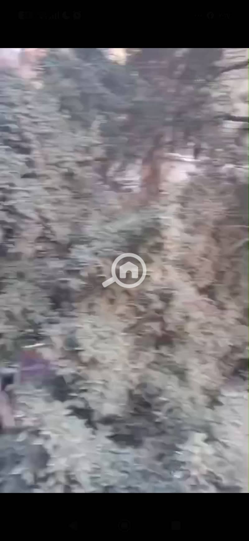 5 132823. jpg