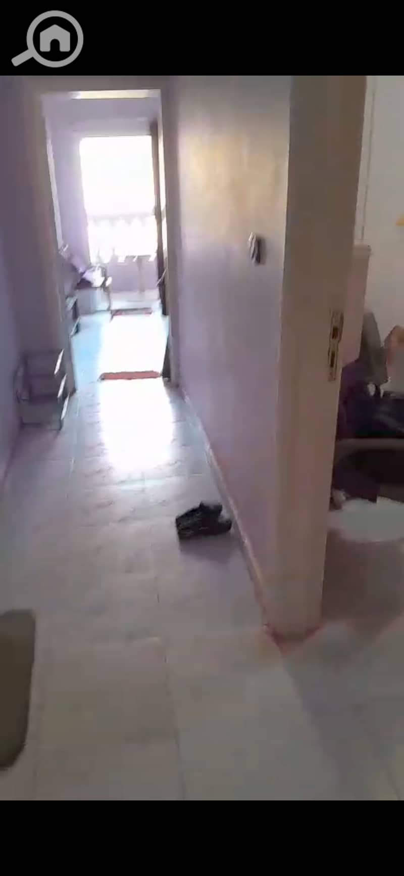 6 132833. jpg
