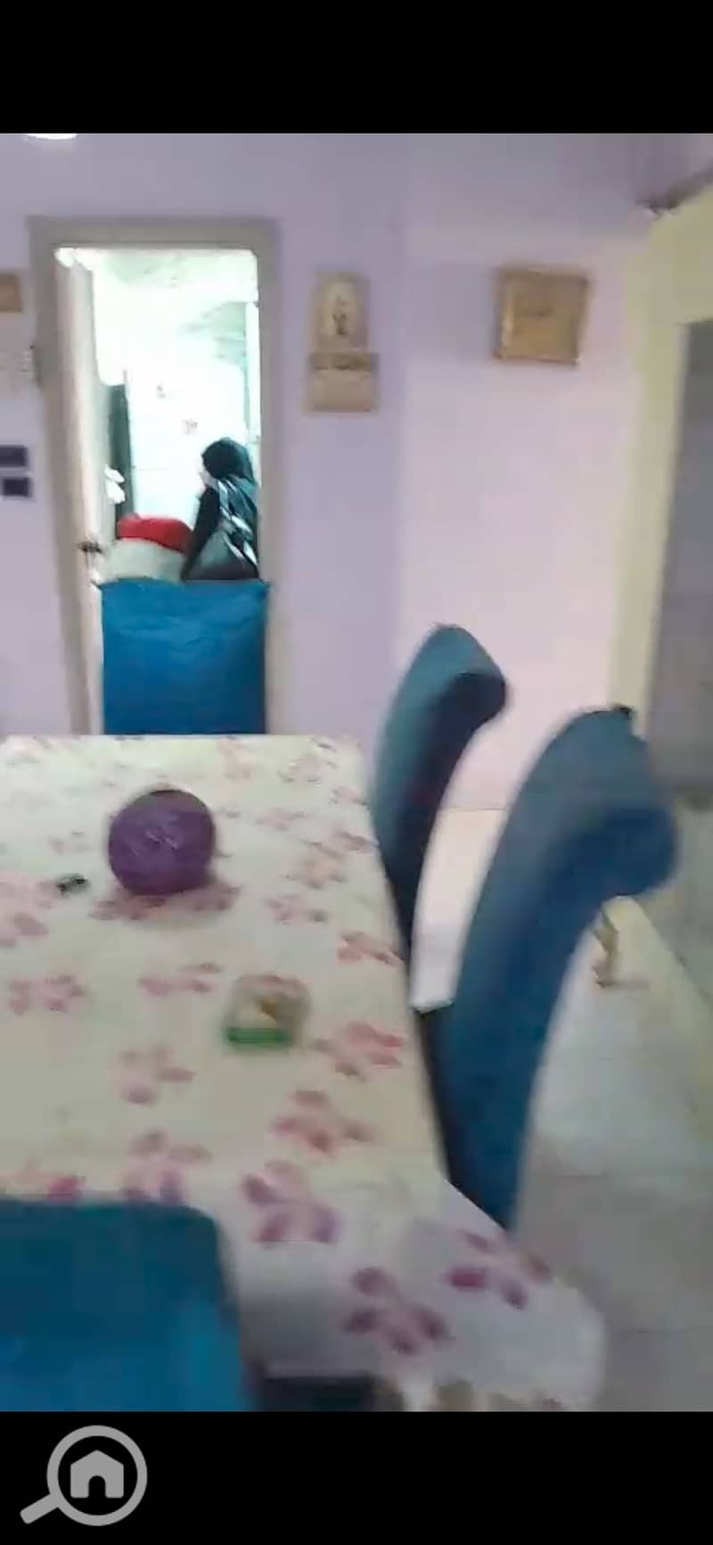 7 132831. jpg