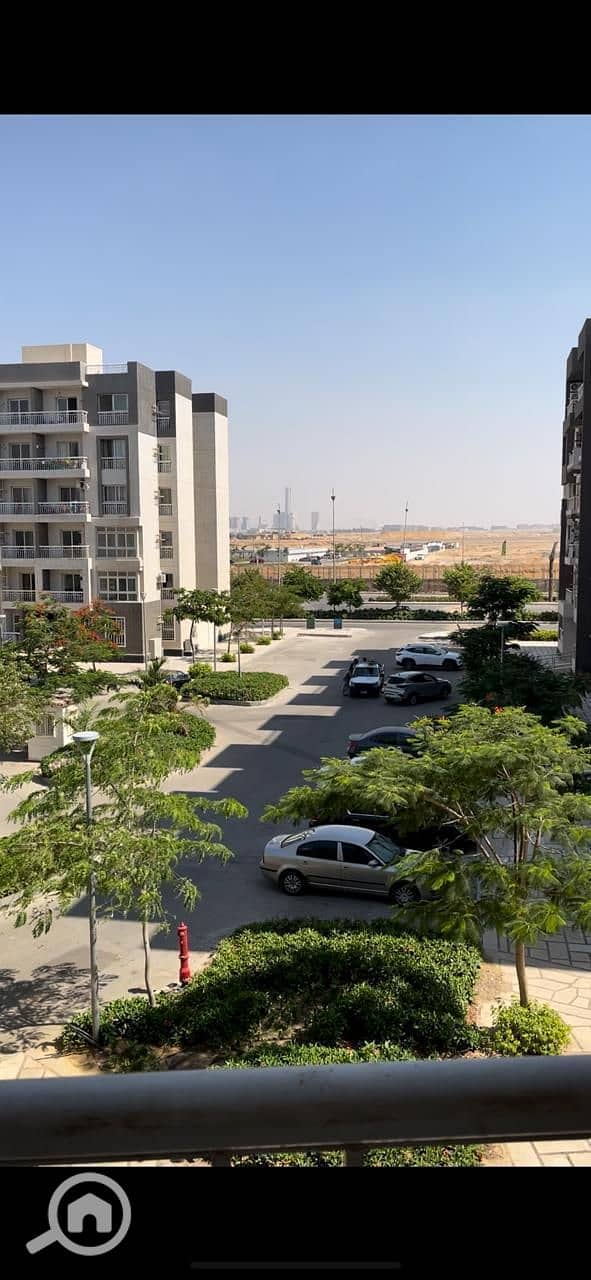 5 1000934144. jpg