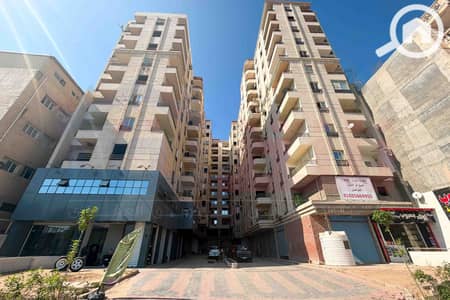 3 Bedroom Flat for Sale in Smoha, Alexandria - WhatsApp Image 2026-09-05 at 16.47. 26 (1). jpg