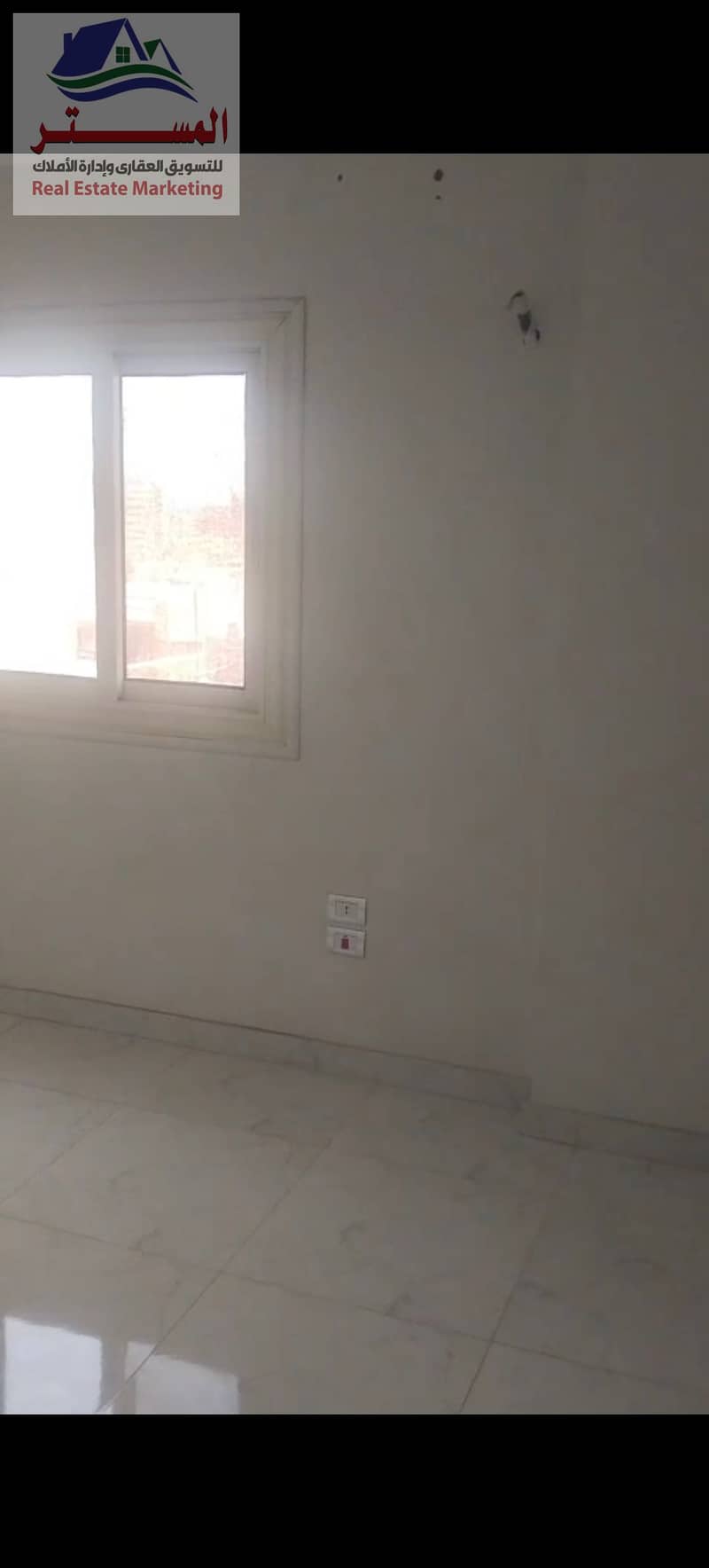 10 1000551773. jpg