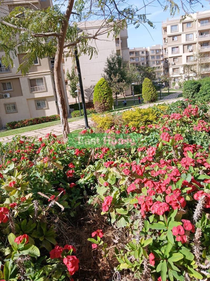 11 File (20). jpg