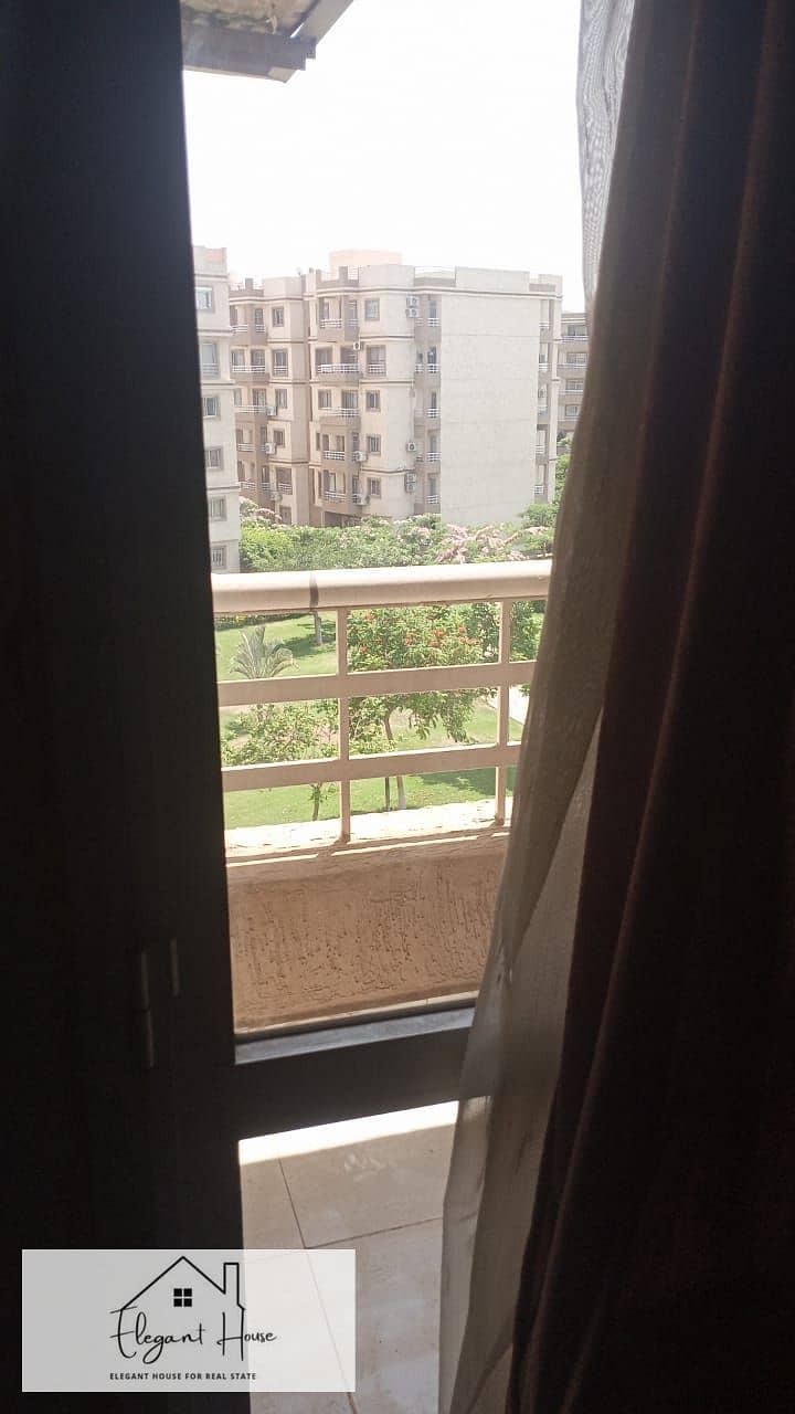 2 467735. jpg