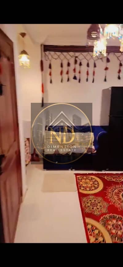 شقة 2 غرفة نوم للايجار في المنيل، القاهرة - ba1a1d66-4f6d-4053-aa5a-64f37d51ebfd. jpg