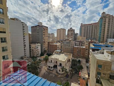 3 Bedroom Flat for Rent in Zizinia, Alexandria - e216440c-ed6e-436d-8639-9b923580d017. jpg 3 Bedroom Flat for Rent in Zizinia, Alexandria - e216440c-ed6e-436d-8639-9b923580d017. jpg