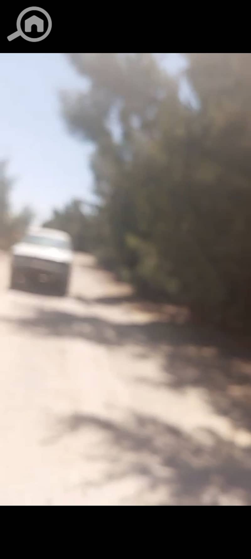 23 1000402842. jpg